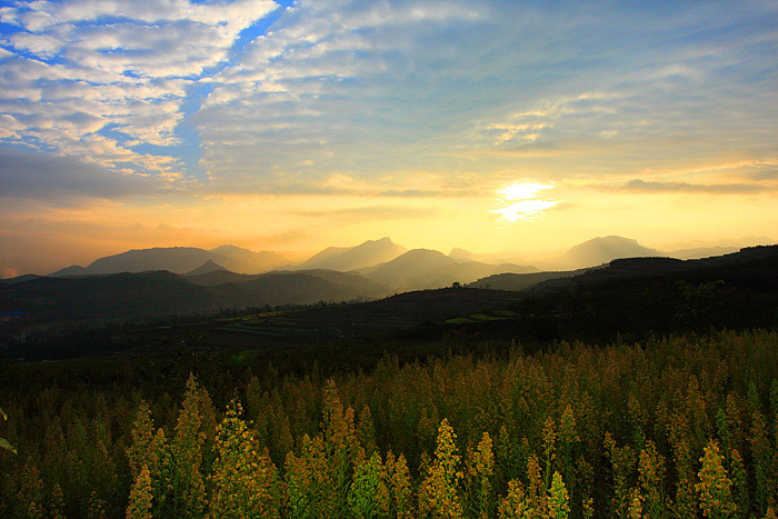 故乡的山（图ZODY3NTI0） - 风光摄影 - 站酷设计师老山羊原创素材 - 站酷ZCOOL