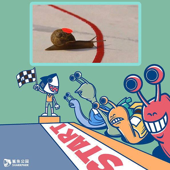 挑战人类耐心极限的蜗牛赛跑