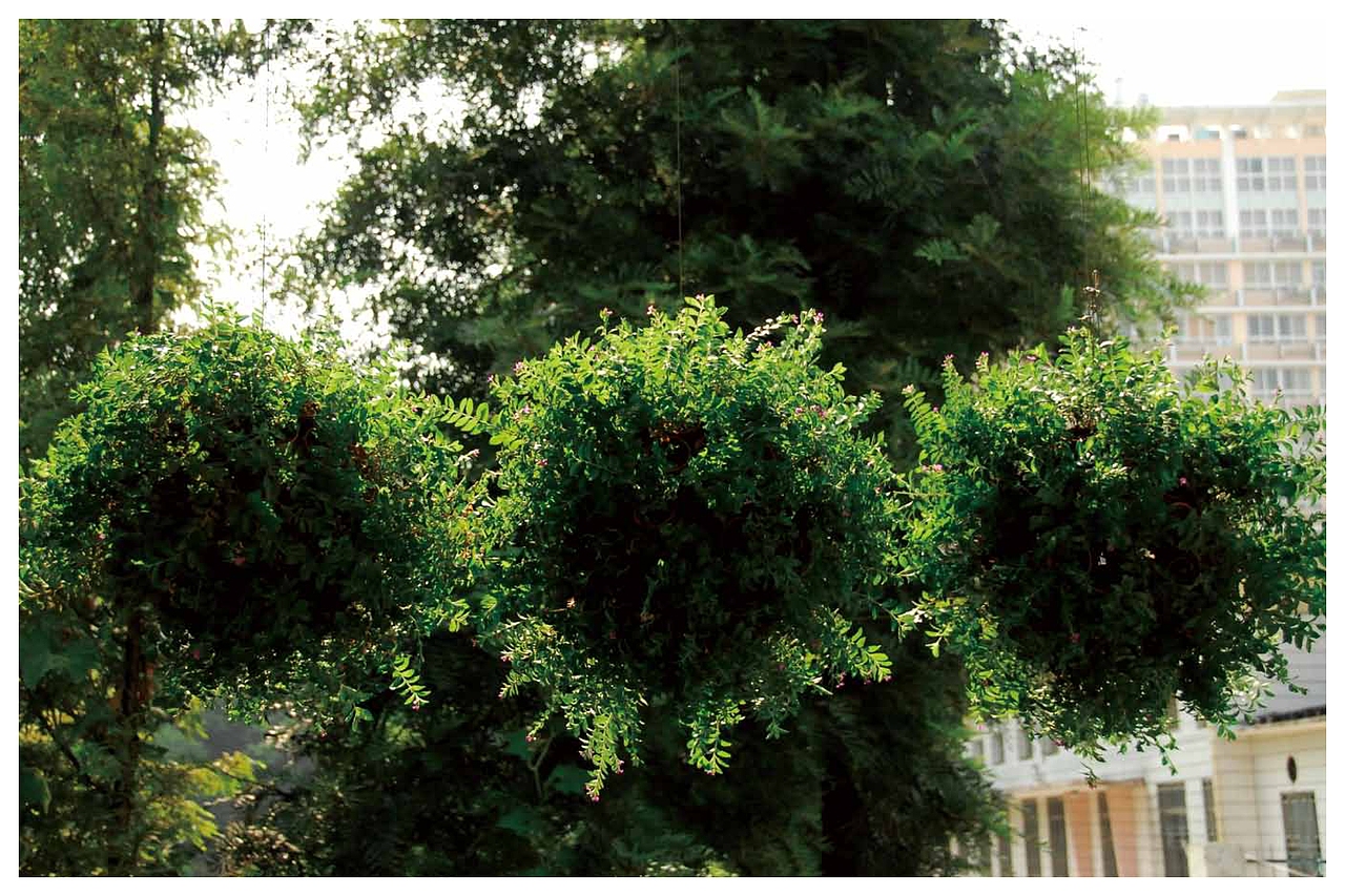 原创一一设计造型语言探索〈蒋志龙把玩平面设计〉