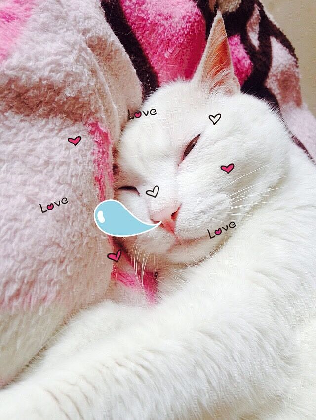 早上迷迷糊糊醒来