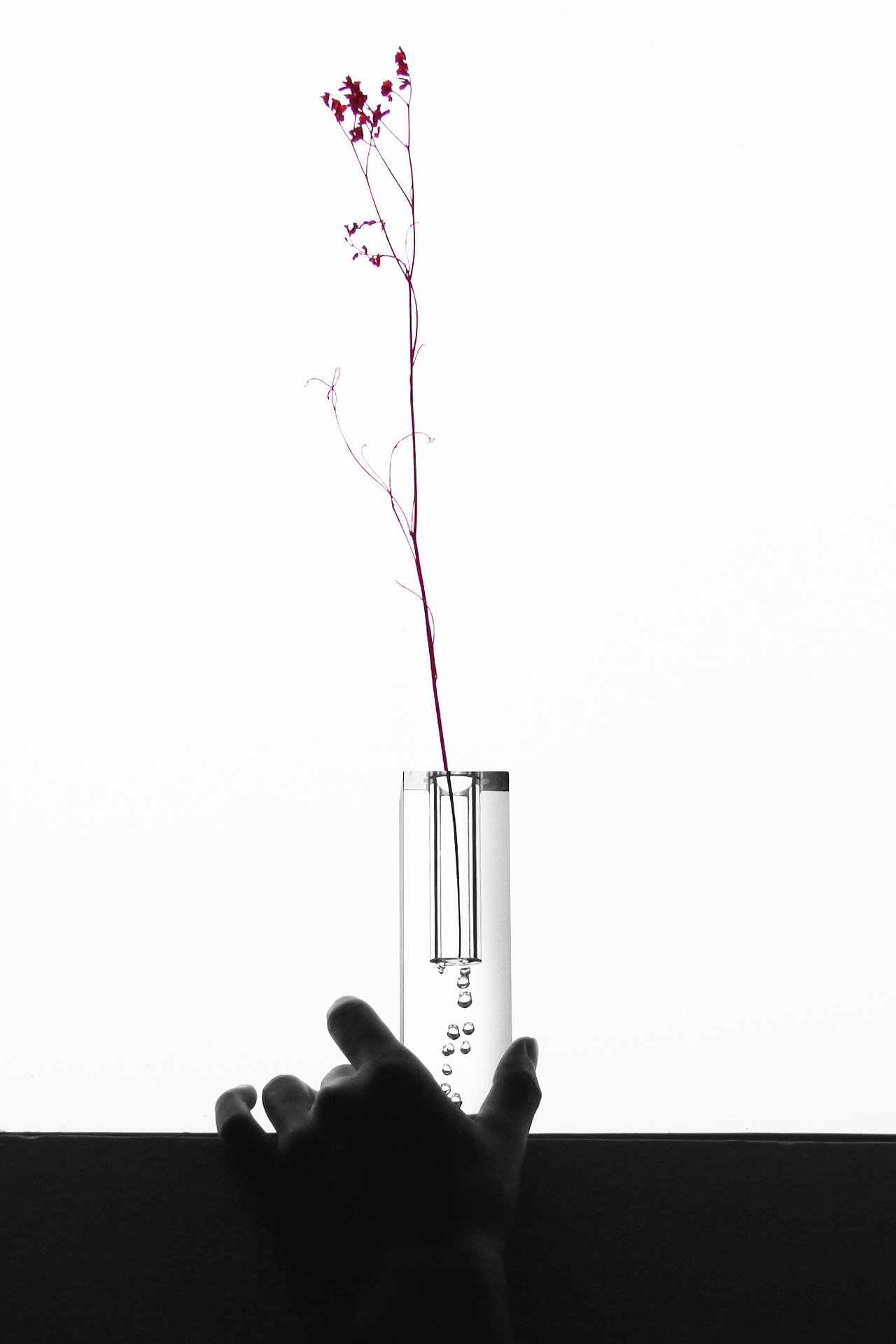 透明气泡花瓶（图ZMTUzNDIyNDg0） - 生活用品 - 站酷设计师陈法标一Design原创素材 - 站酷ZCOOL
