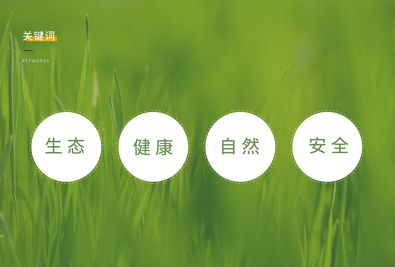 漠阳香大米品牌设计（图ZMjM5MzU4Nzg4） - 品牌 - 站酷设计师xiao婉子原创素材 - 站酷ZCOOL