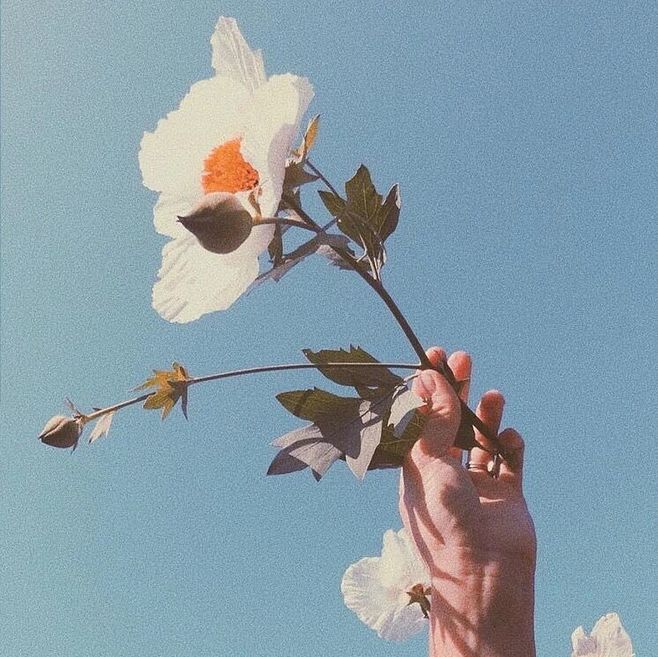 Y居岸的个人主页（背景预览） - 主页背景设置 - 站酷设计师Y居岸原创素材 - 站酷ZCOOL