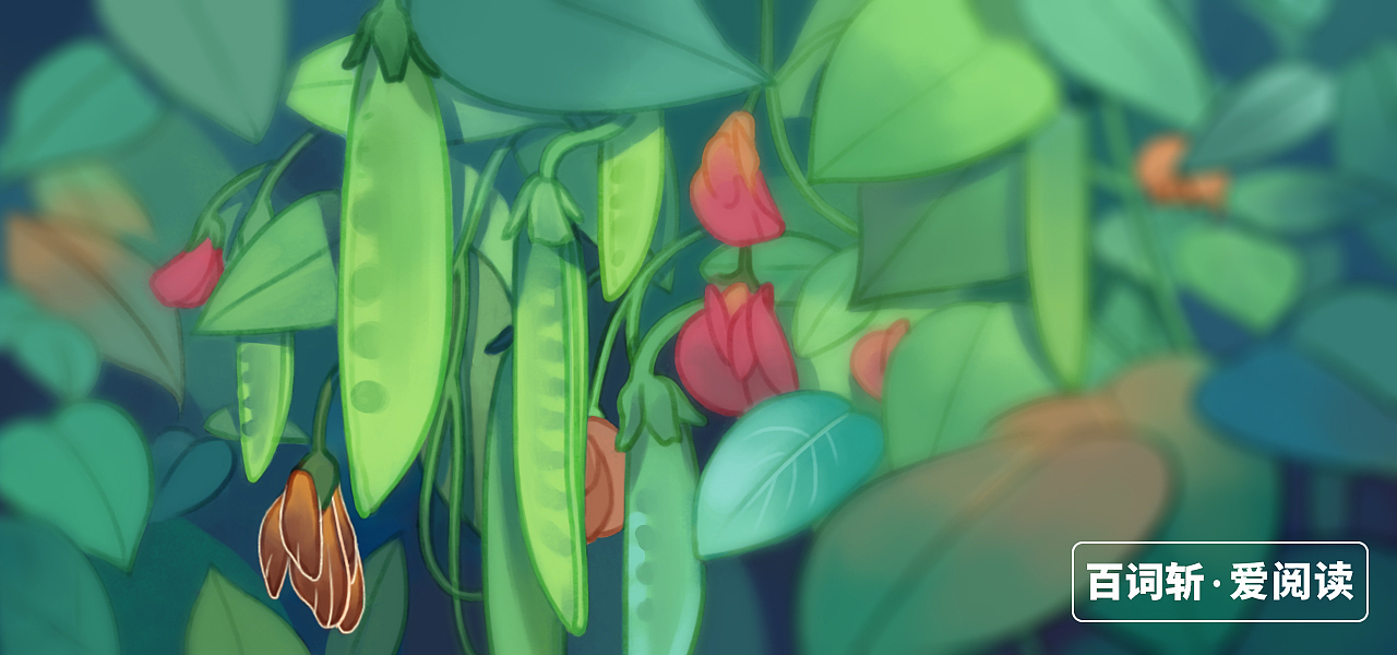 给百词斩画的插图