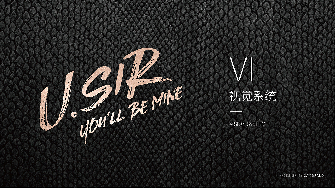 小众彩妆品牌VI基础部分（图ZMjI4ODIyMTYw） - 品牌 - 站酷设计师许大仙er原创素材 - 站酷ZCOOL