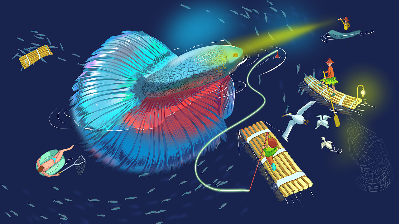 CSP(Draw)hunter Betta fish