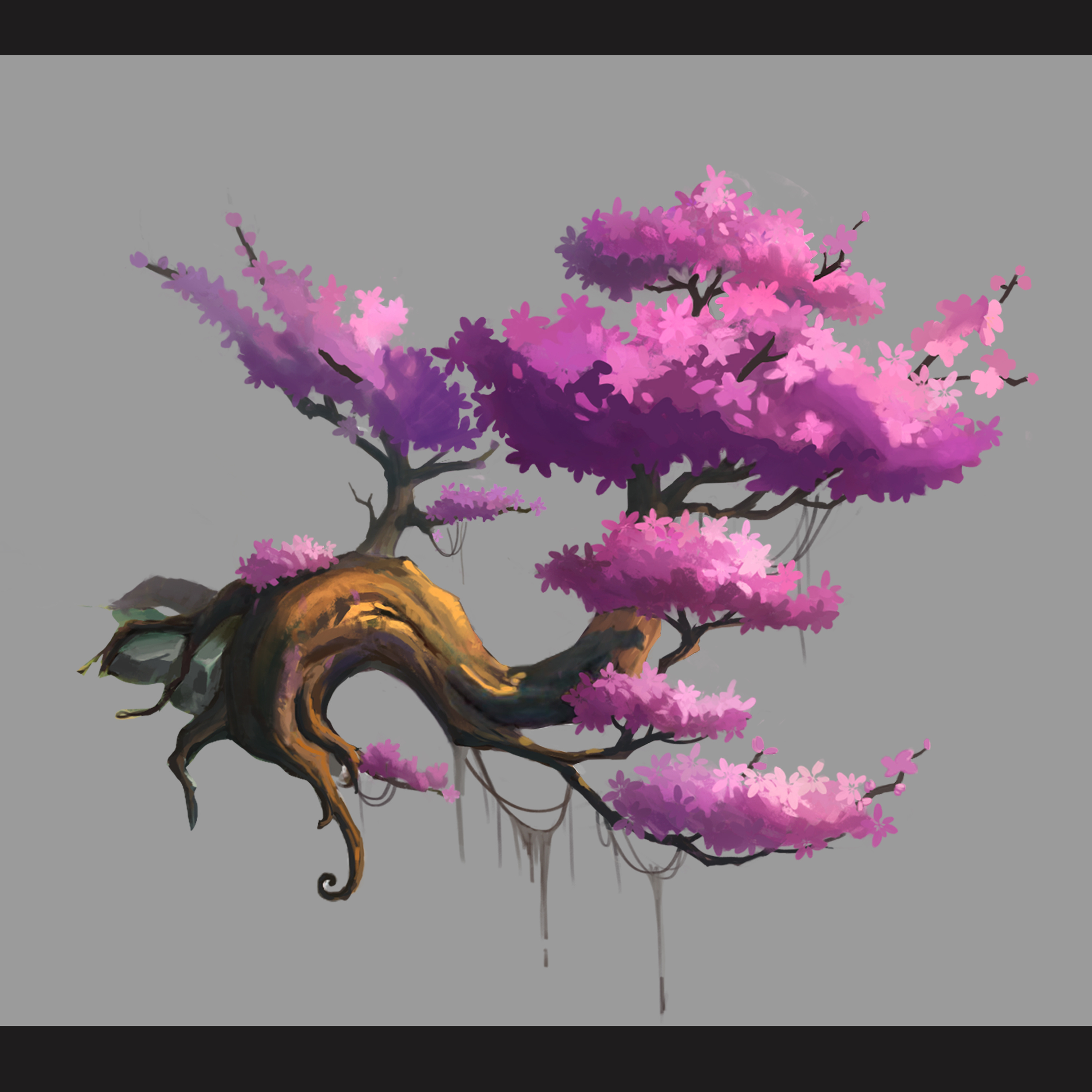 植物练习|插画|游戏原画|cher_l - 原创作品 - 站酷 (zcool)