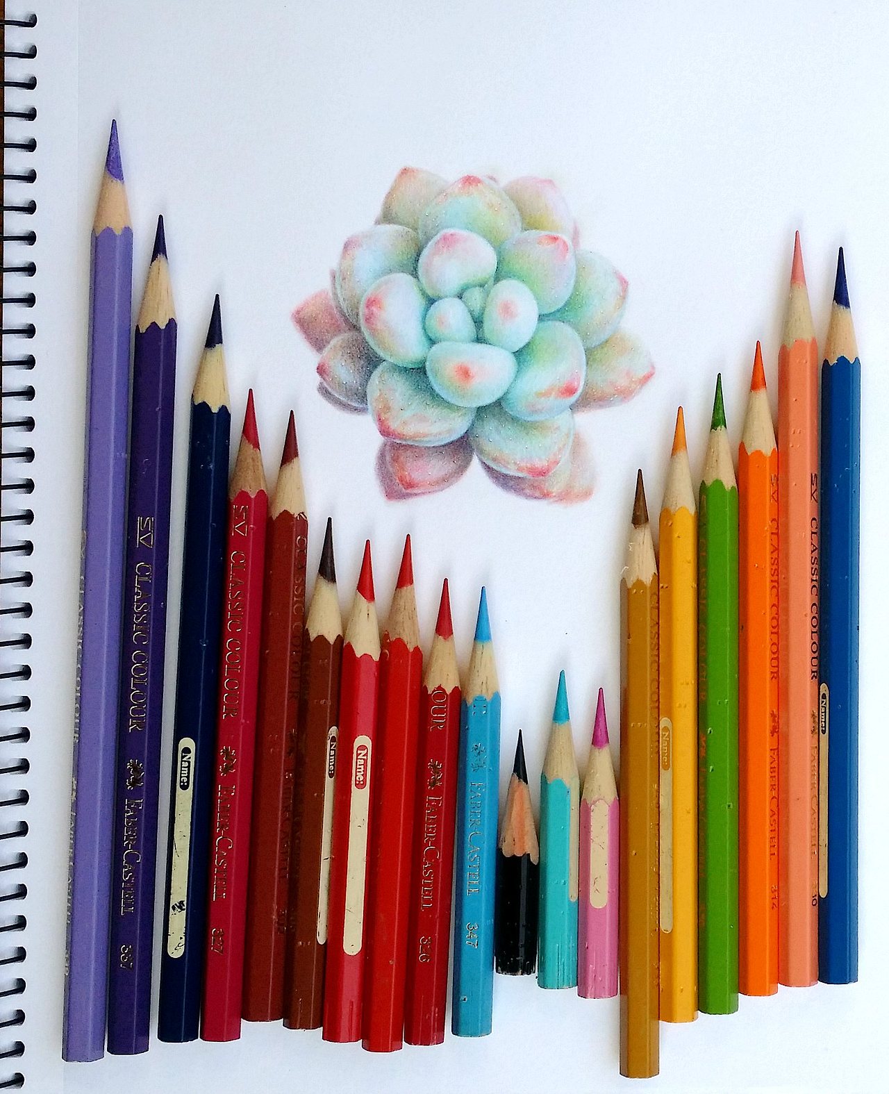 多肉 1（图ZNjI2MDkxMDg=） - 绘画 - 站酷设计师林朵云原创素材 - 站酷ZCOOL