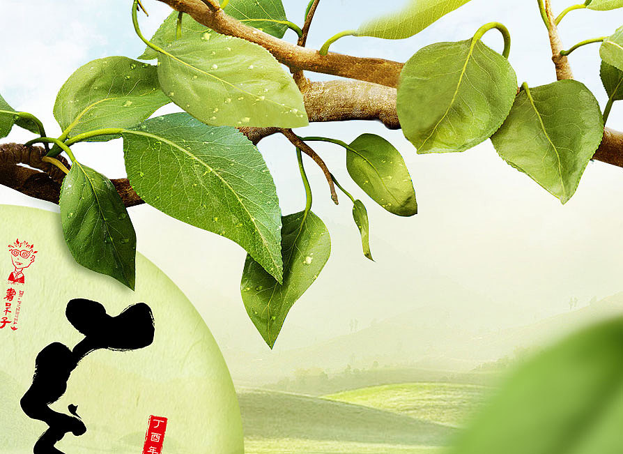 普洱春茶（图ZNzY1MzMwMTY=） - 修图/后期 - 站酷设计师oooozhou原创素材 - 站酷ZCOOL