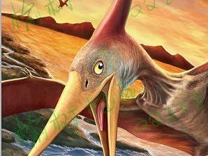 恐龙，昆虫，插图