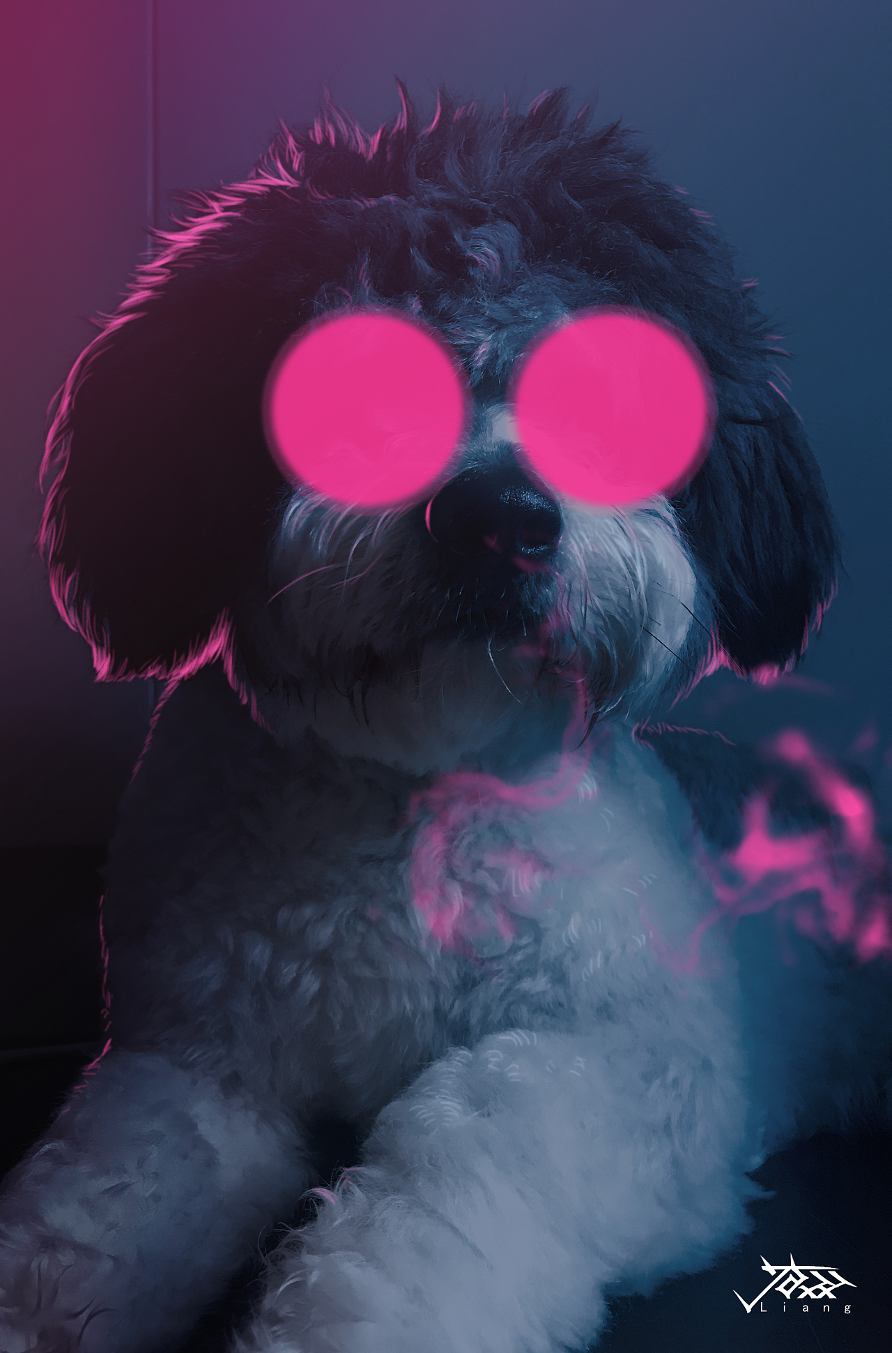 硬核p图-小狗狗