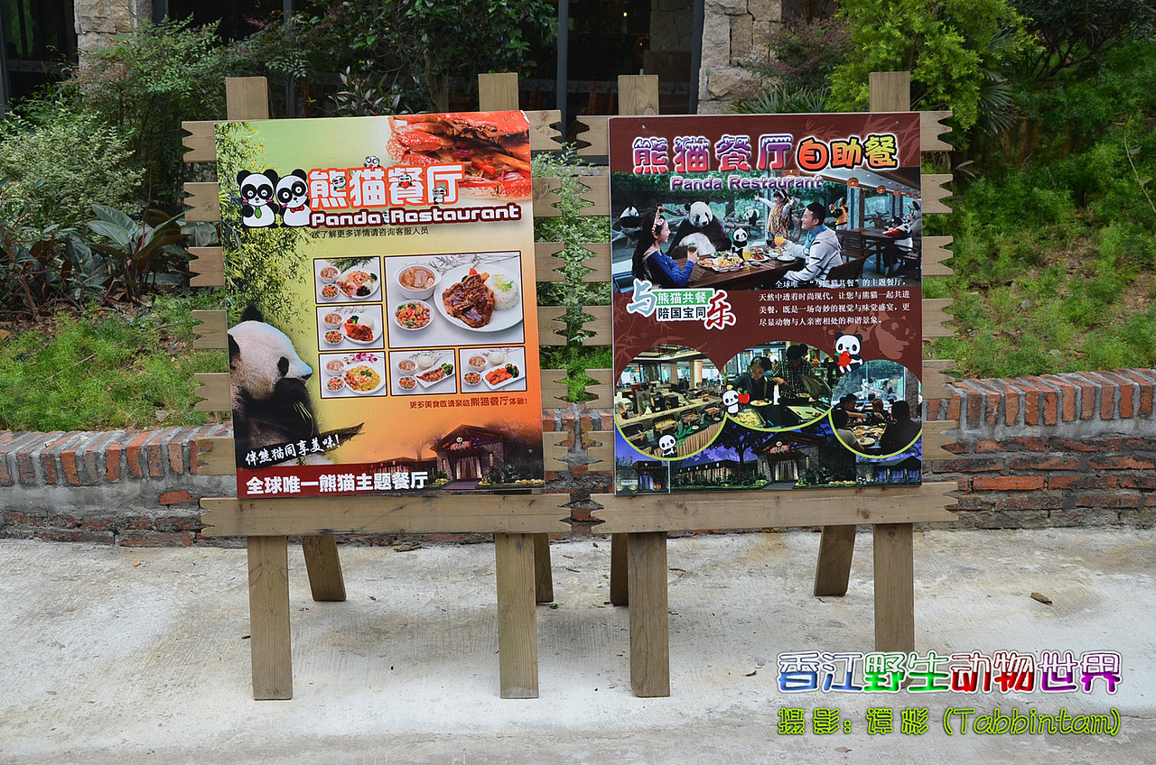 熊猫主题餐厅