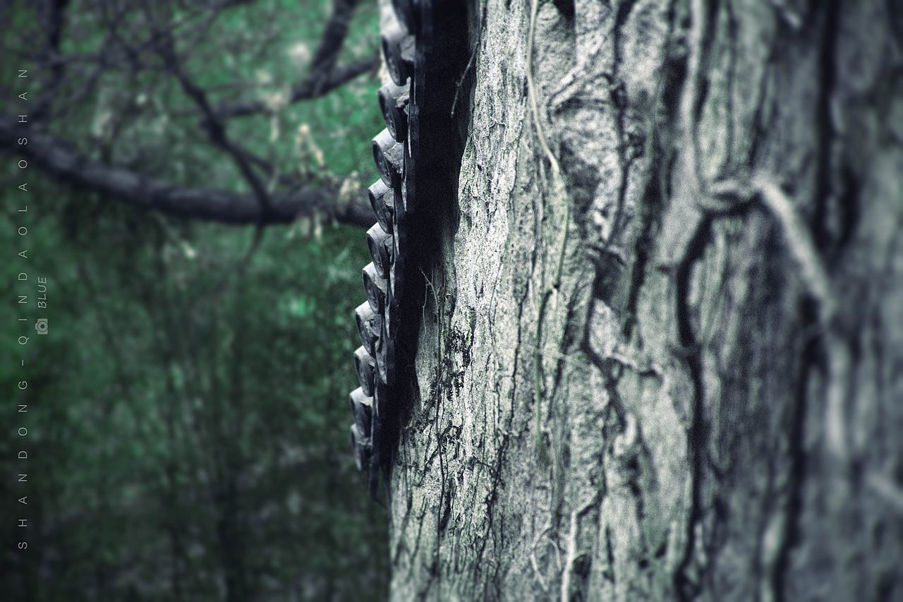 碧海蓝天的青岛~（图ZNzY3NTE2NTI=） - 风光摄影 - 站酷设计师她说tashuo原创素材 - 站酷ZCOOL