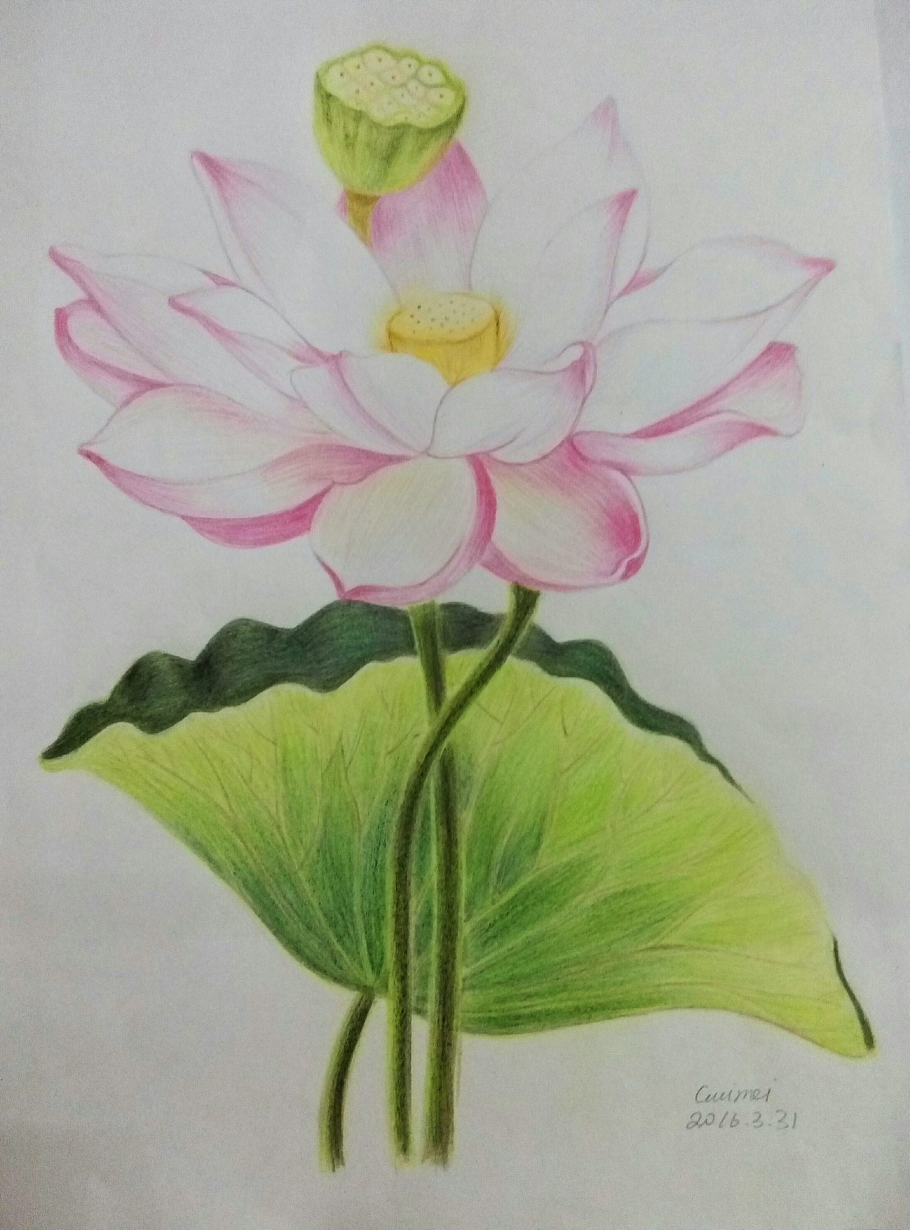 临摹练习的画作（图ZNzA2NzU1MTI=） - 绘画 - 站酷设计师kemii原创素材 - 站酷ZCOOL