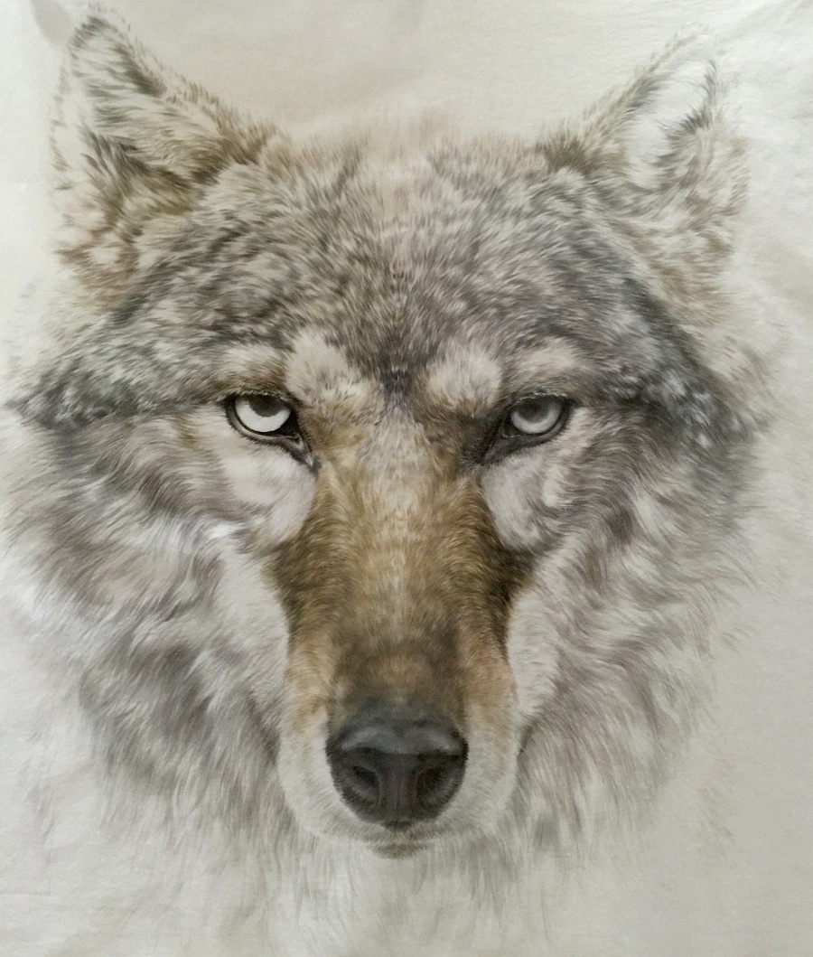 狼|国画|纯艺术|jx187098989 - 原创设计作品 - 站酷 (zcool)