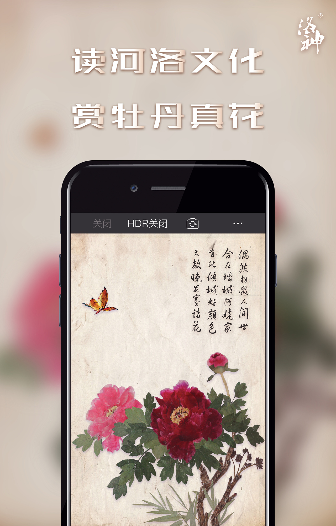 海报/电子海报 洛阳牡丹真花艺术品|平面|海报|长丘araneae - 原创