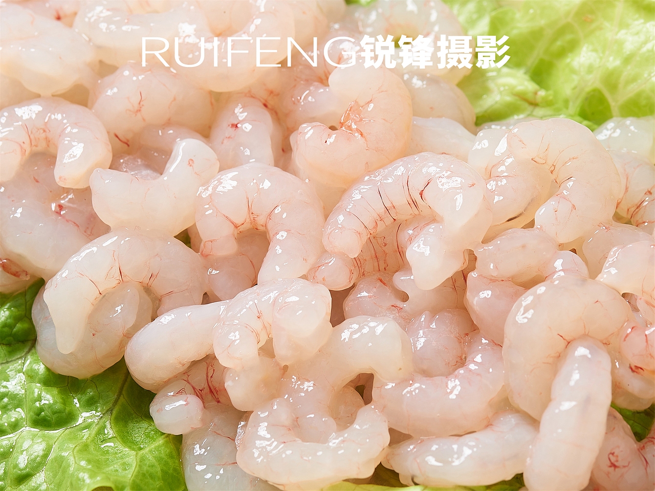 水产品拍摄|静物摄影|海鲜|虾仁|RUIFENG武汉锐锋摄影