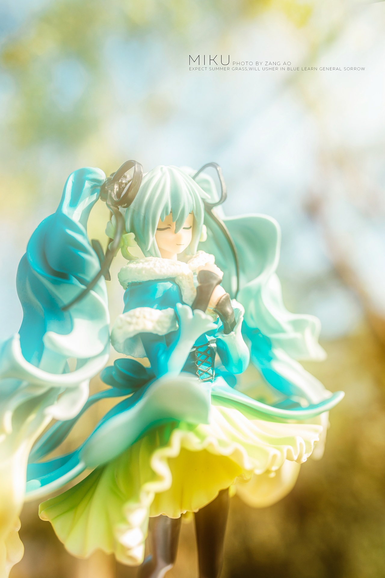 初音夏雪草