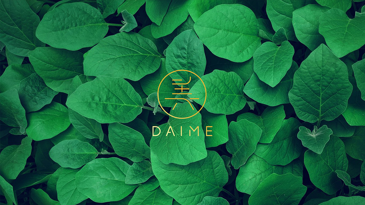 DAIME 品牌VI