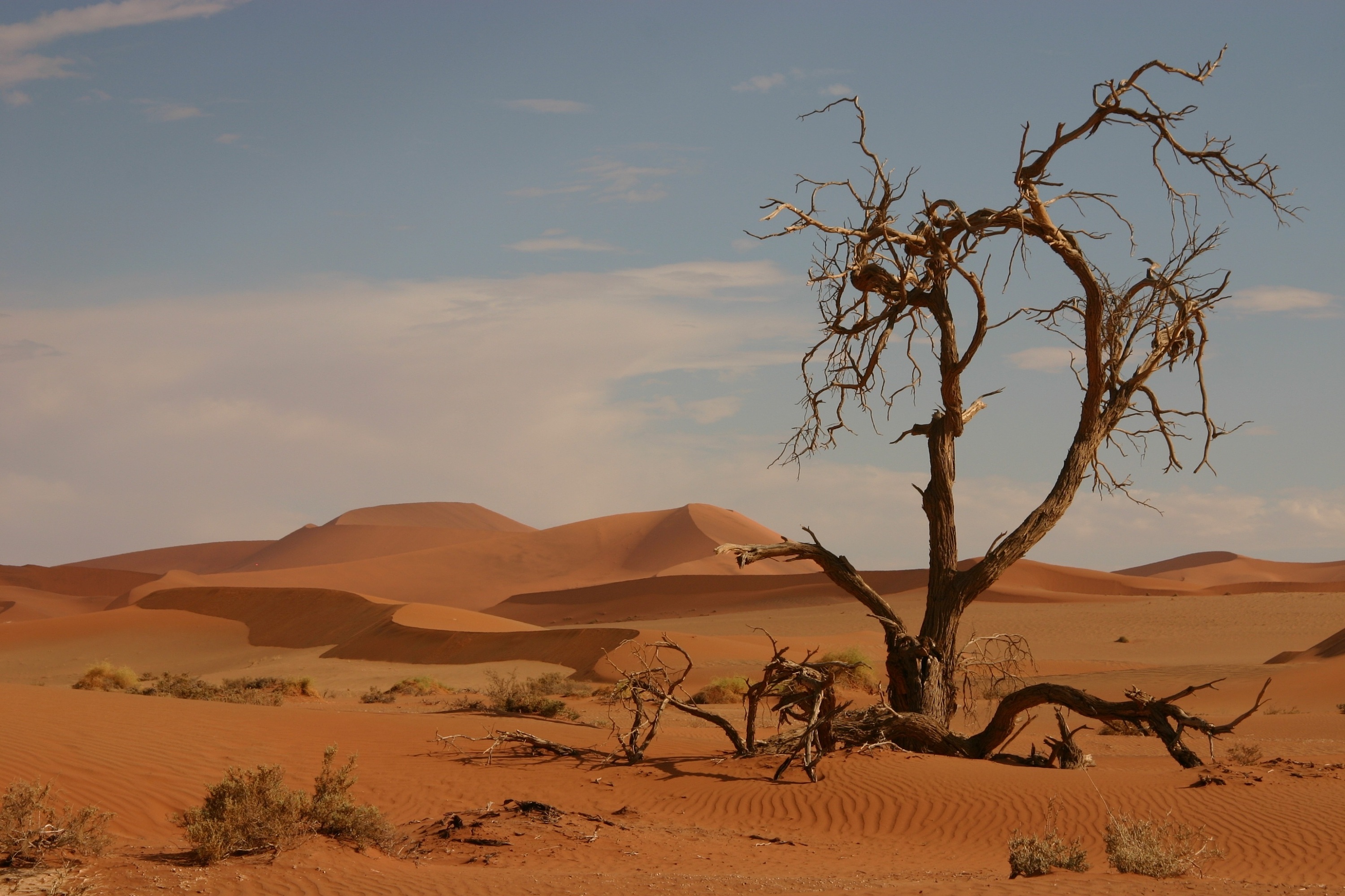 敦煌沙漠|摄影|风光|thomas看看世界 - 原创作品 - 站酷 (ZCOOL)