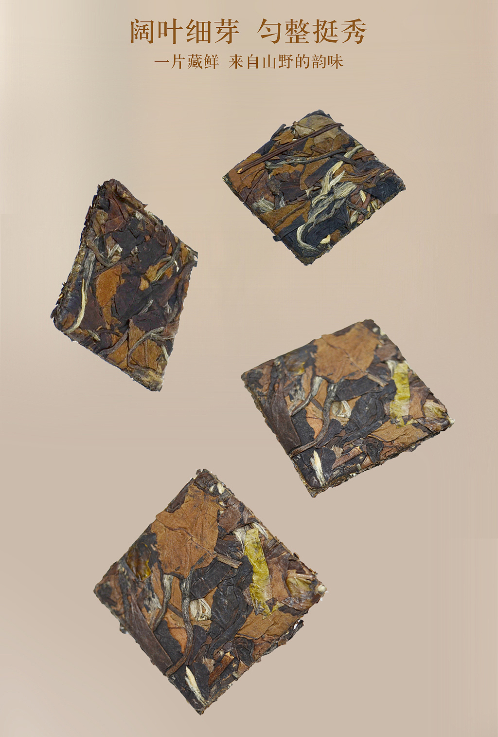 白玉琳·饼干片白茶（图ZMjUzMzAyMjc2） - 电商 - 站酷设计师赋流形品牌设计原创素材 - 站酷ZCOOL