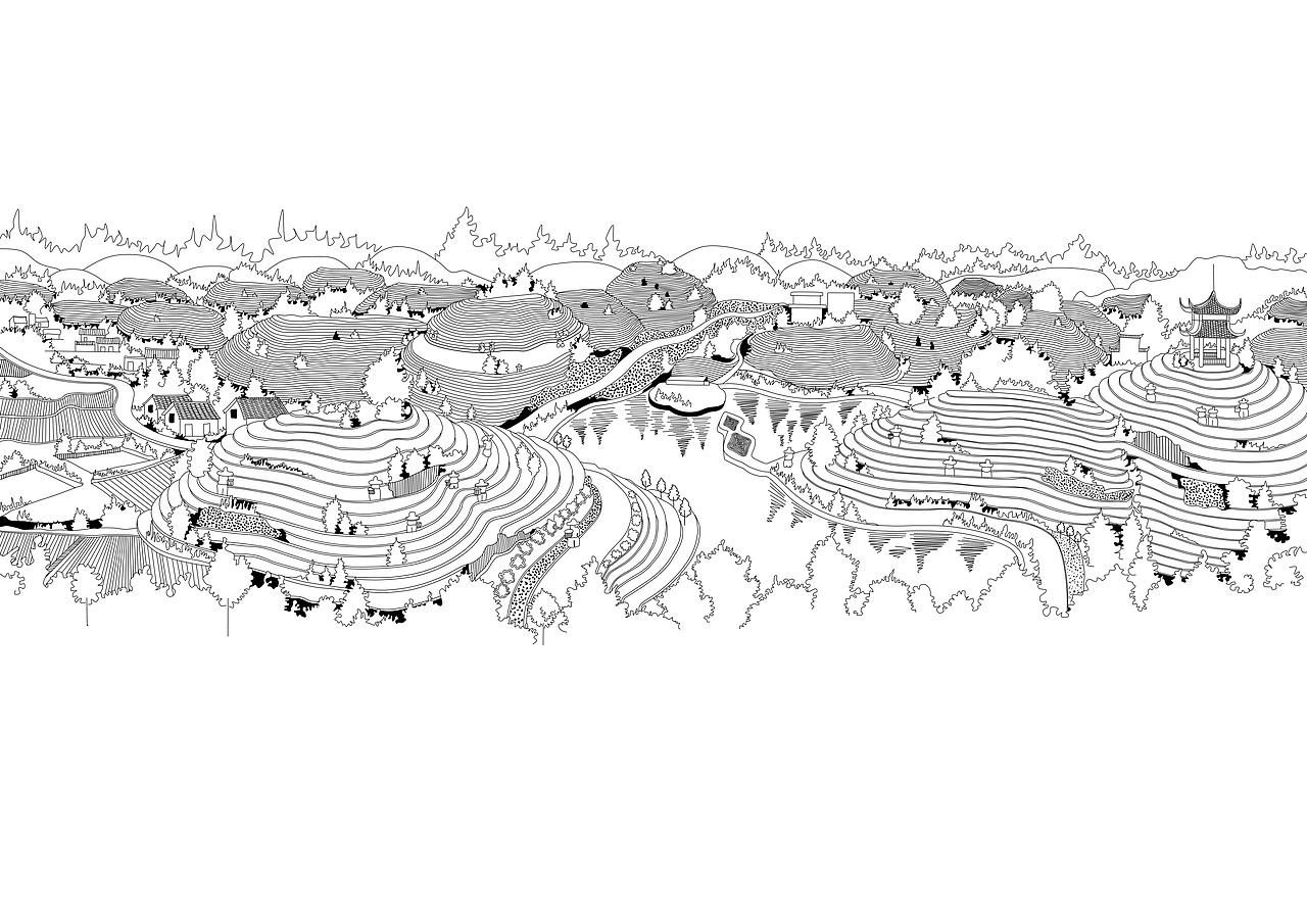 插画的画的则是当地最真实的黄山一带种黄毛峰茶的风貌,用最真实最淳朴的线描的插画的形式体现