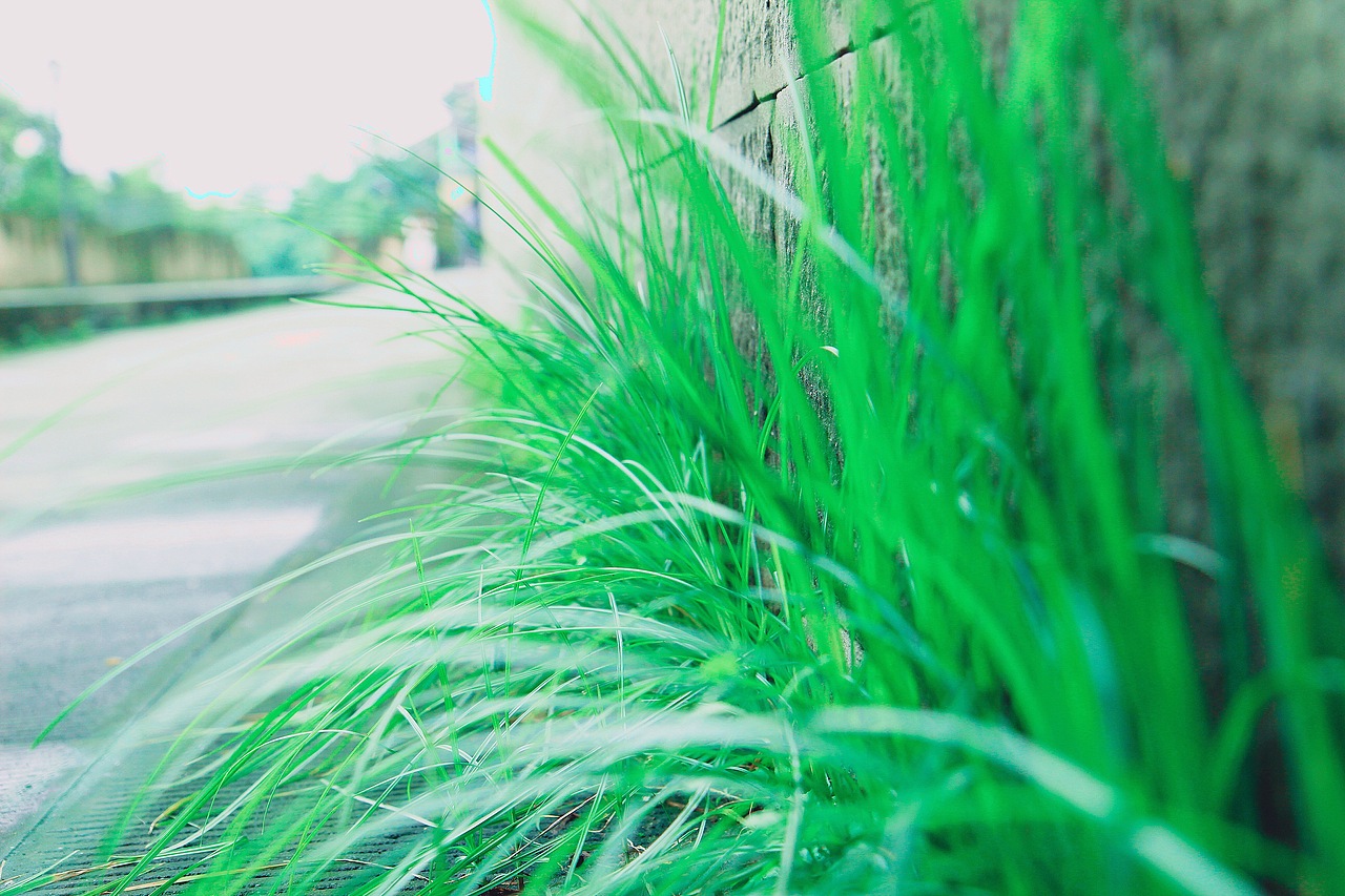 我们径自认为的所有意义（图ZNTA2NDMxNDA=） - 风光摄影 - 站酷设计师阿肉_原创素材 - 站酷ZCOOL