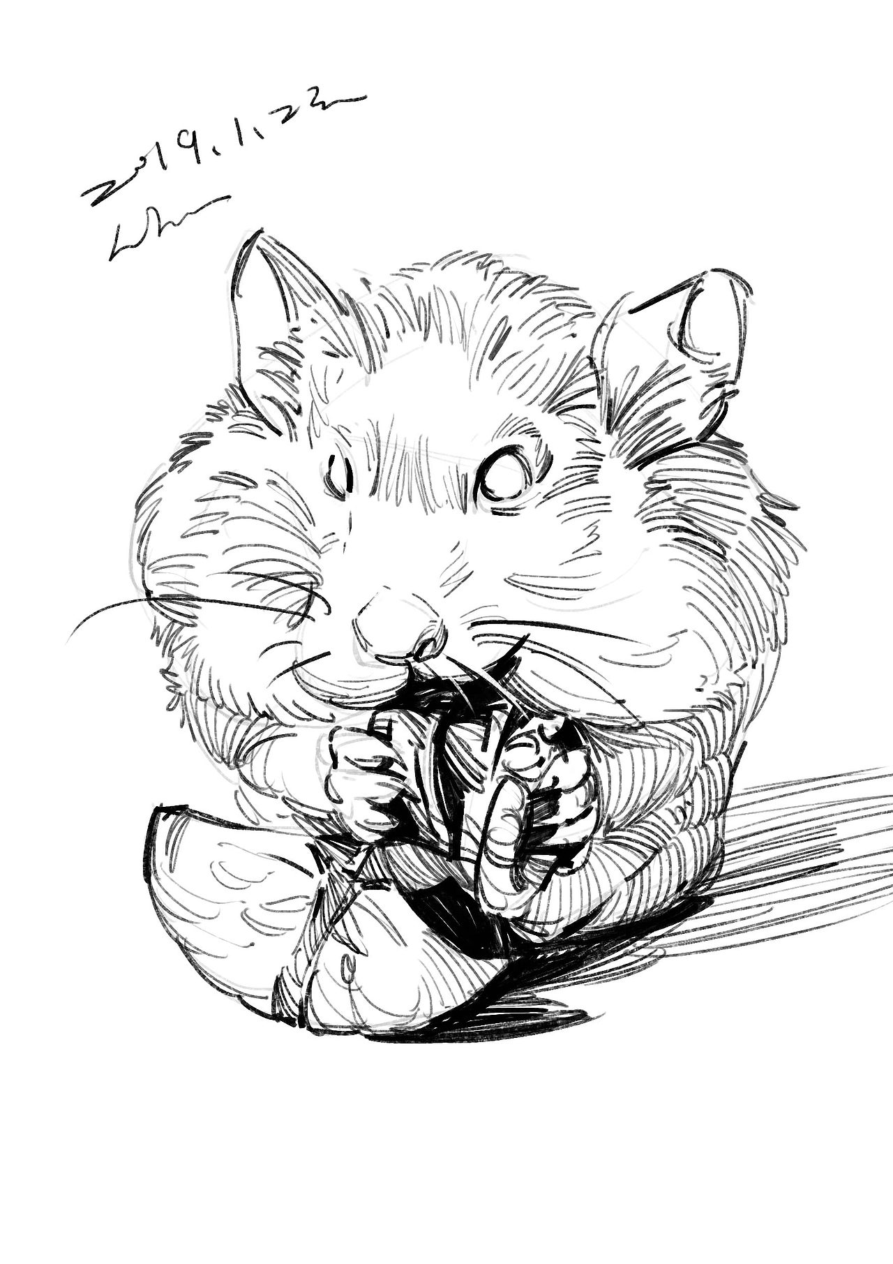 2019年1月速写选（图ZMTQzNzM4MjY0） - 绘画 - 站酷设计师半岛酒徒原创素材 - 站酷ZCOOL