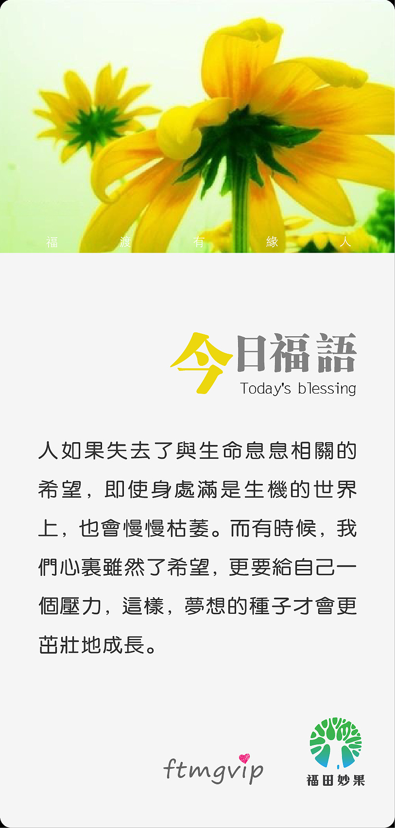 《福田妙果》微信小海报设计第二季。（图ZODY2MTI2NA==） - 海报 - 站酷设计师摩摩超人原创素材 - 站酷ZCOOL