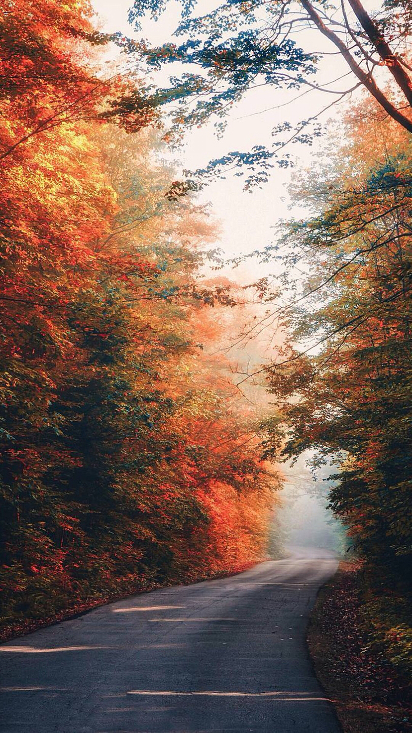 秋天（图ZMzE3NDg0NzI0） - 风光摄影 - 站酷设计师景致唯美原创素材 - 站酷ZCOOL