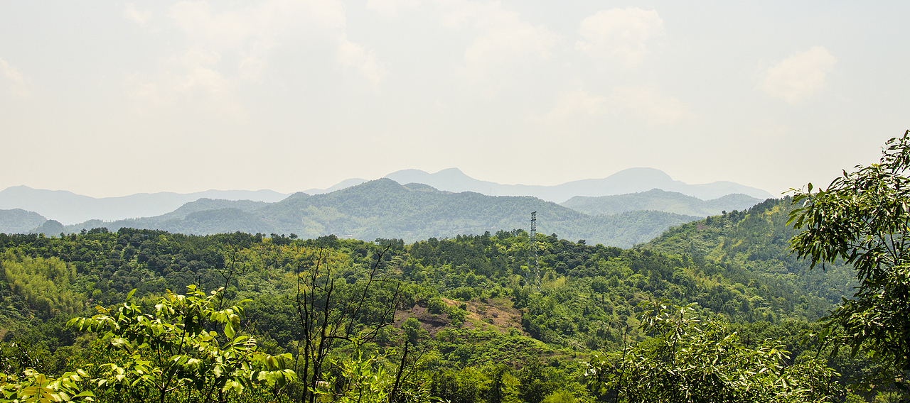 今年春天留念几张