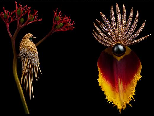 珠宝大片（个人主页-ZNDg3MTA1NDQ=） - 修图/后期 - 站酷设计师修图师鲶鱼原创素材 - 站酷ZCOOL