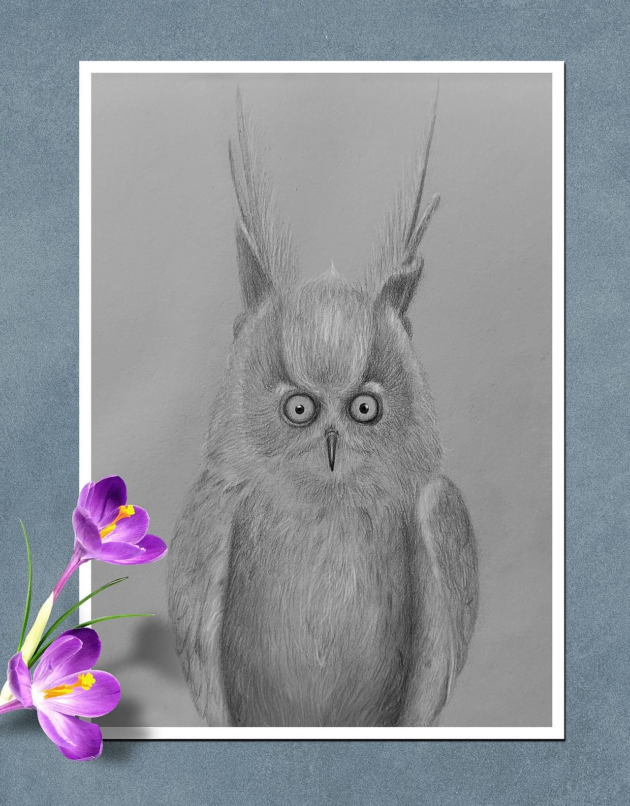 猫头鹰（图ZMzI3MDAxMTM2） - 儿童插画 - 站酷设计师alphatoto原创素材 - 站酷ZCOOL