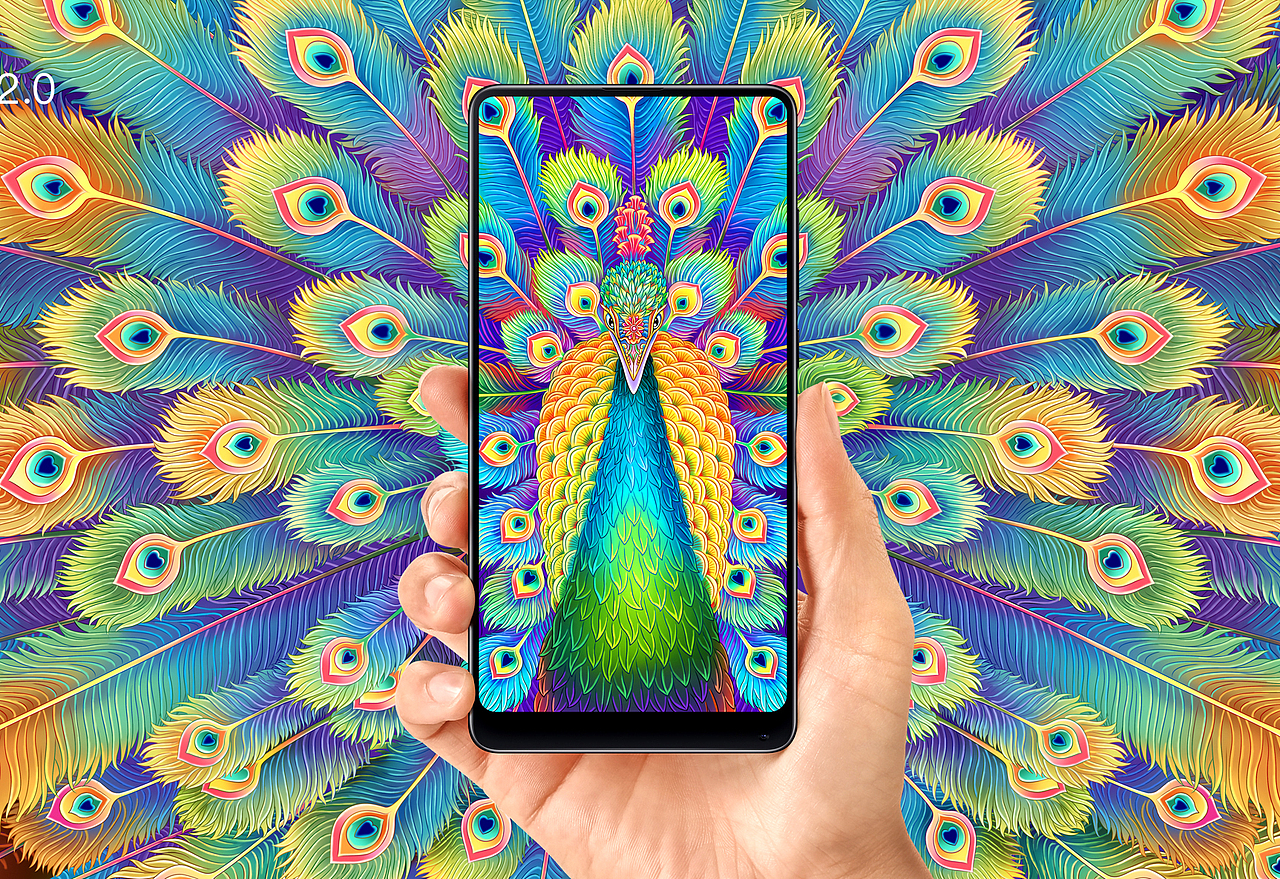 小米MIX2海报插画 全面屏-孔雀开屏