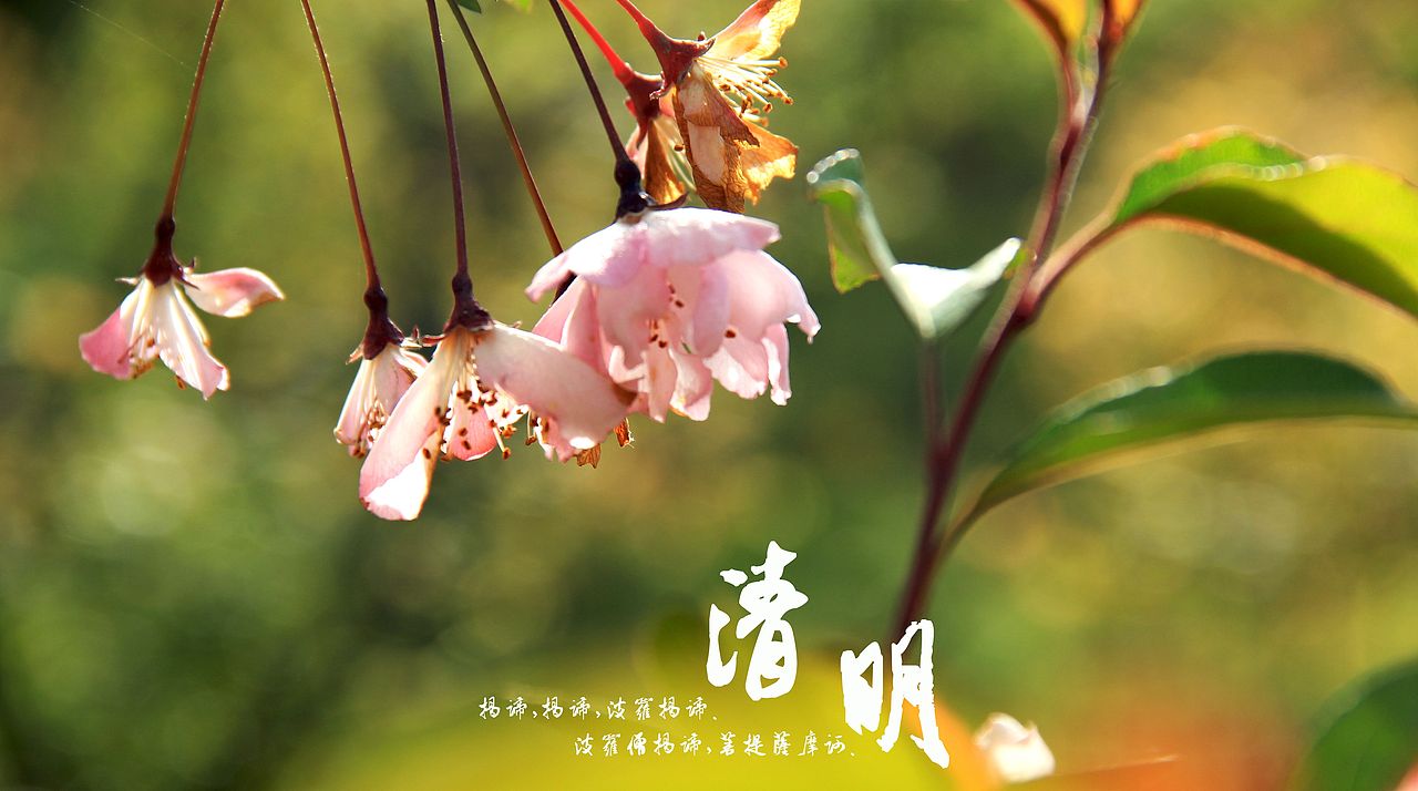 大桥下的石头（图ZODkzMzkyMA==） - 风光摄影 - 站酷设计师半道子原创素材 - 站酷ZCOOL
