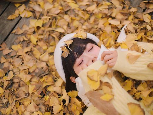 深秋的银杏在提醒我们,即将奔赴下一场冬天