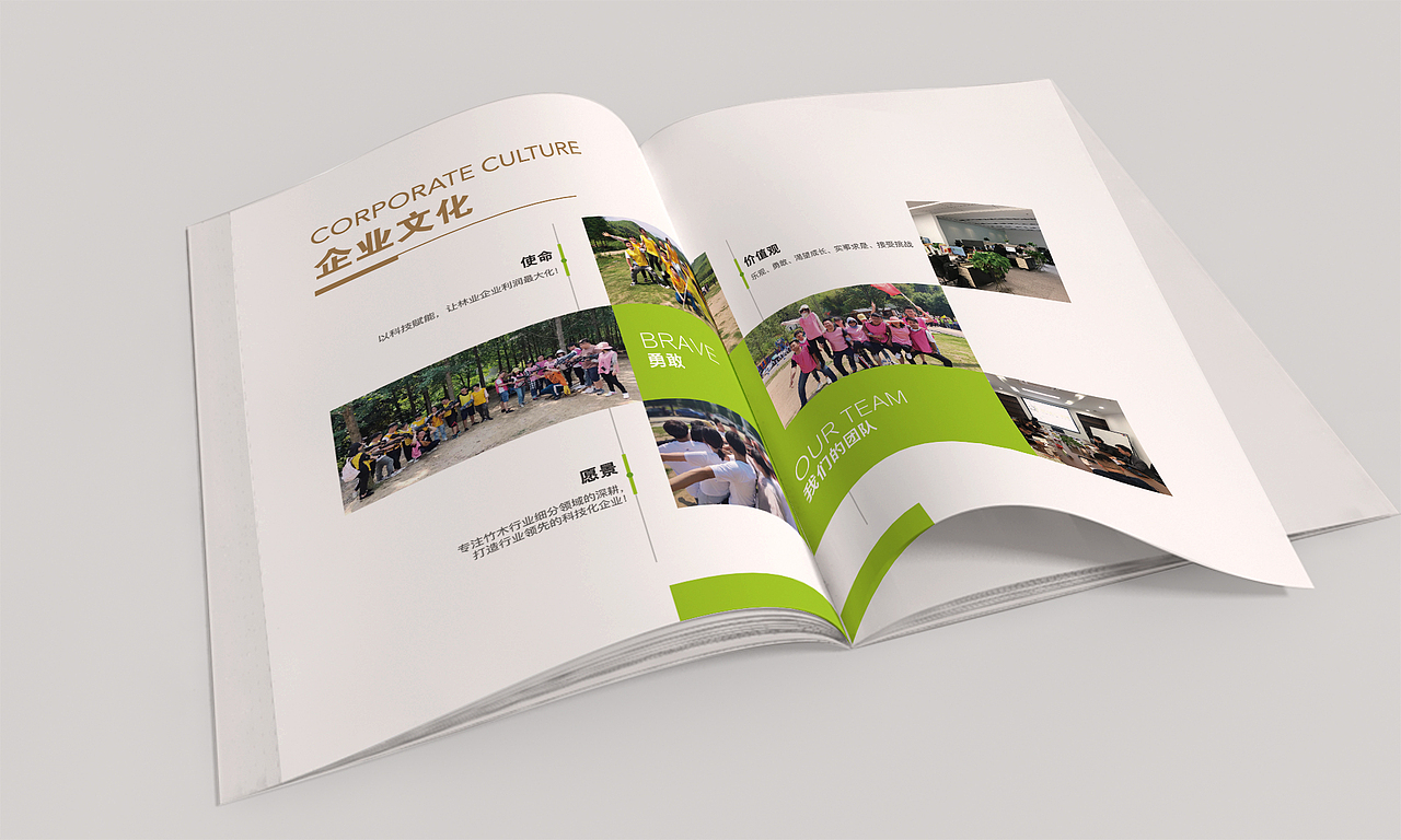 宣传册设计（图ZMjIzMjMyMTU2） - 书籍/画册 - 站酷设计师回他小舅子原创素材 - 站酷ZCOOL