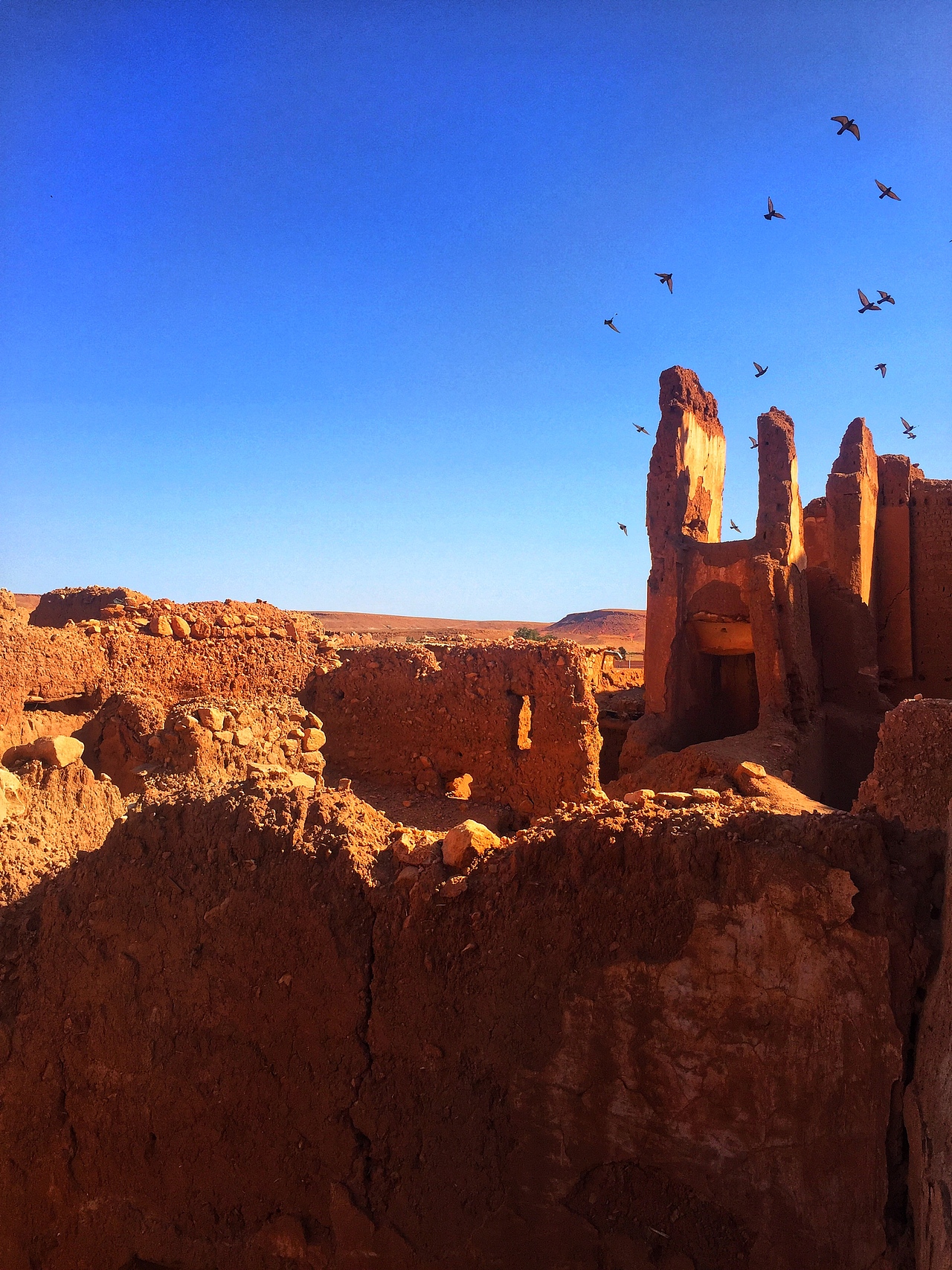 梦回摩洛哥🇲🇦