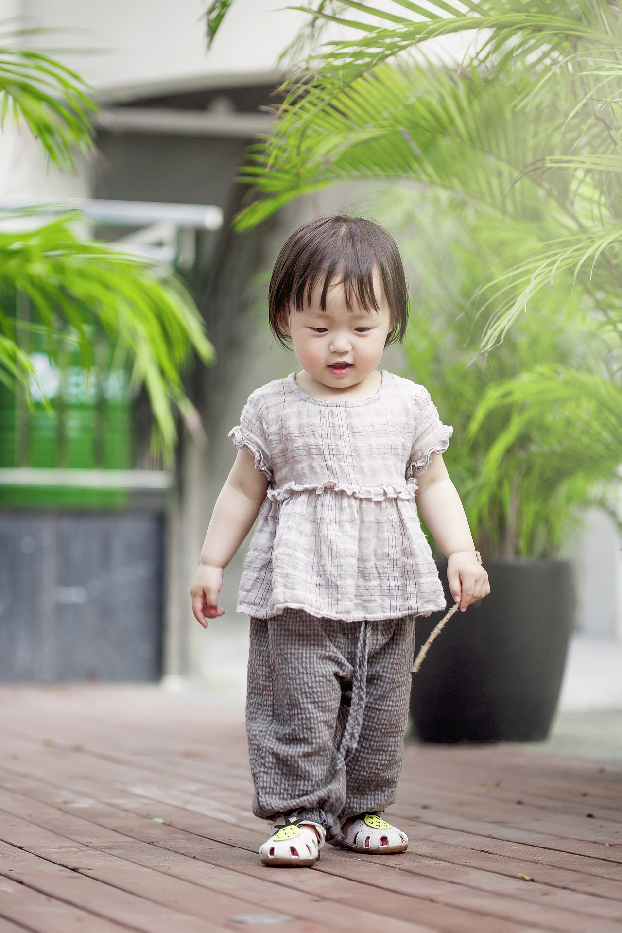 新一轮蜜柚大片来啦