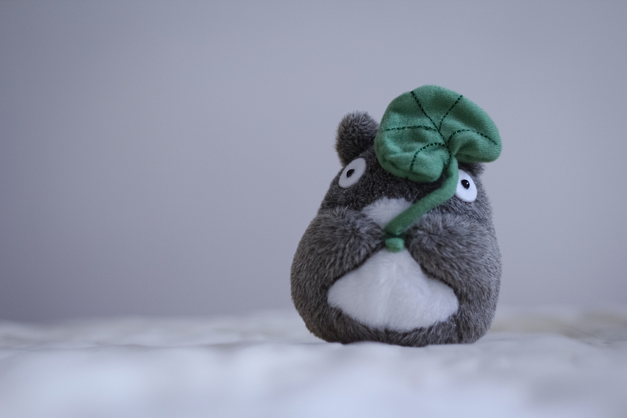 给我来打小龙猫