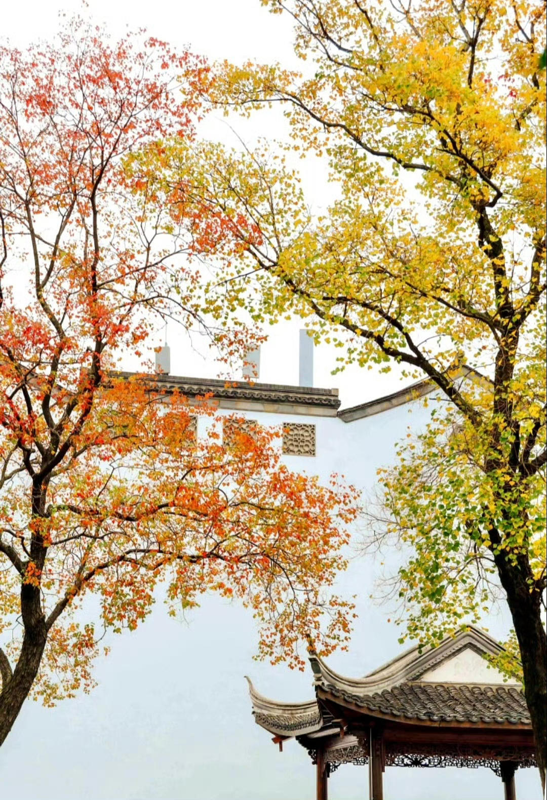 宛如水墨画般的金秋…（图ZMzk3MTc3MzA4） - 风光摄影 - 站酷设计师一小迷糊一原创素材 - 站酷ZCOOL