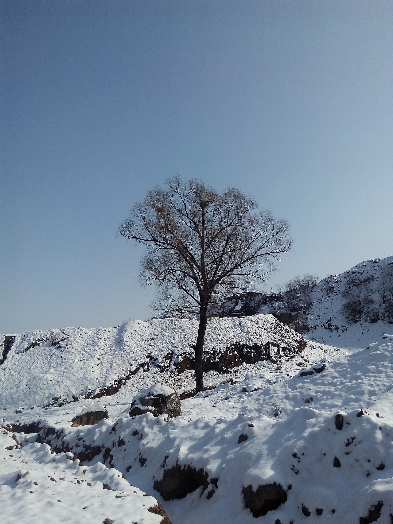 雪（图ZMjQ4NDI2NjQ=） - 风光摄影 - 站酷设计师阿晨的街原创素材 - 站酷ZCOOL