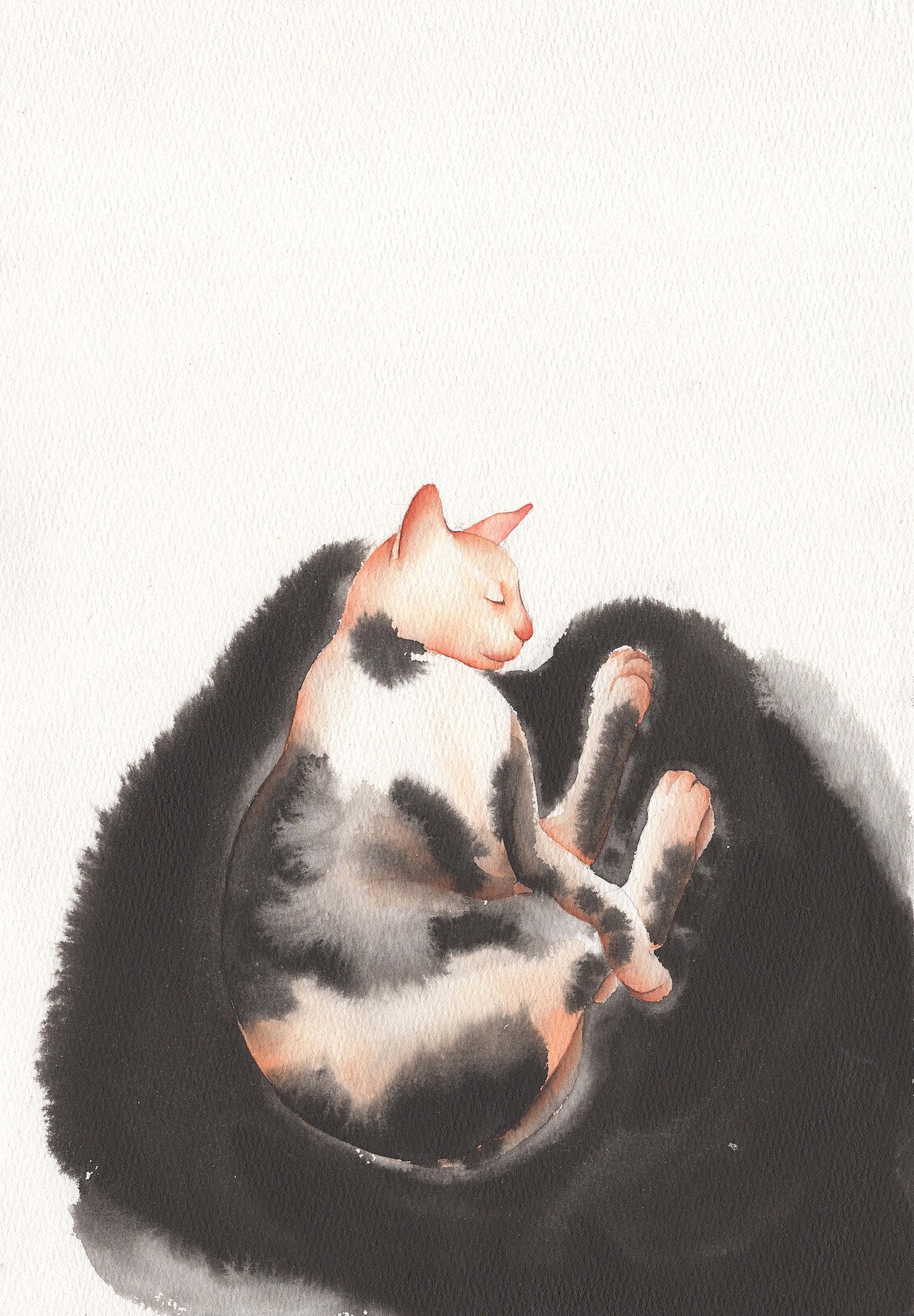 睡貓（圖ZMTUxNjEyNjk2） - 藝術(shù)插畫 - 站酷設(shè)計師白比原創(chuàng)素材 - 站酷ZCOOL