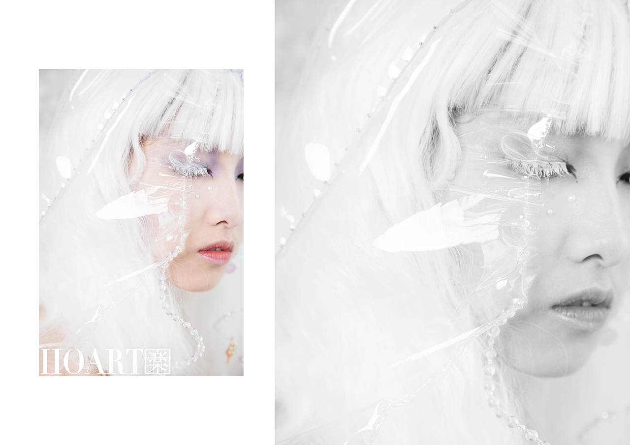 A photo book | Medusa