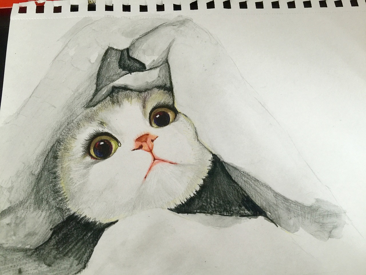 彩铅萌猫（图ZNTQ3MTkxMzI=） - 绘画 - 站酷设计师粉沫亭亭原创素材 - 站酷ZCOOL