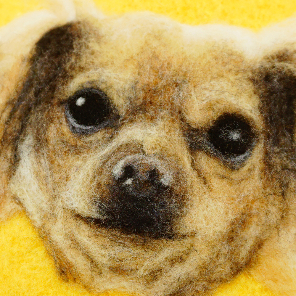 帽子上的羊毛毡画