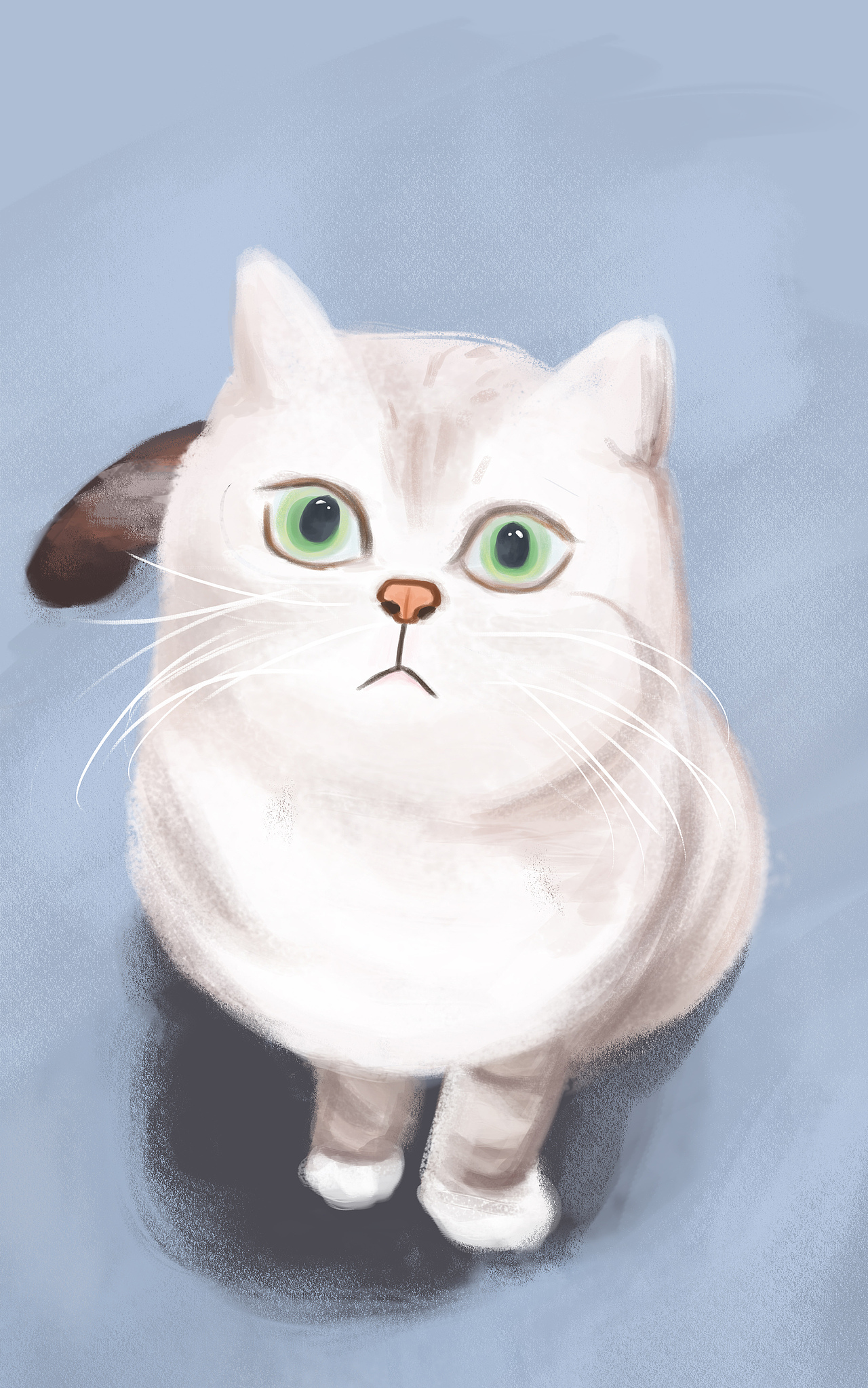 闲时猫咪（图ZMTkyNTAwODUy） - 创作习作 - 站酷设计师Moon馍原创素材 - 站酷ZCOOL