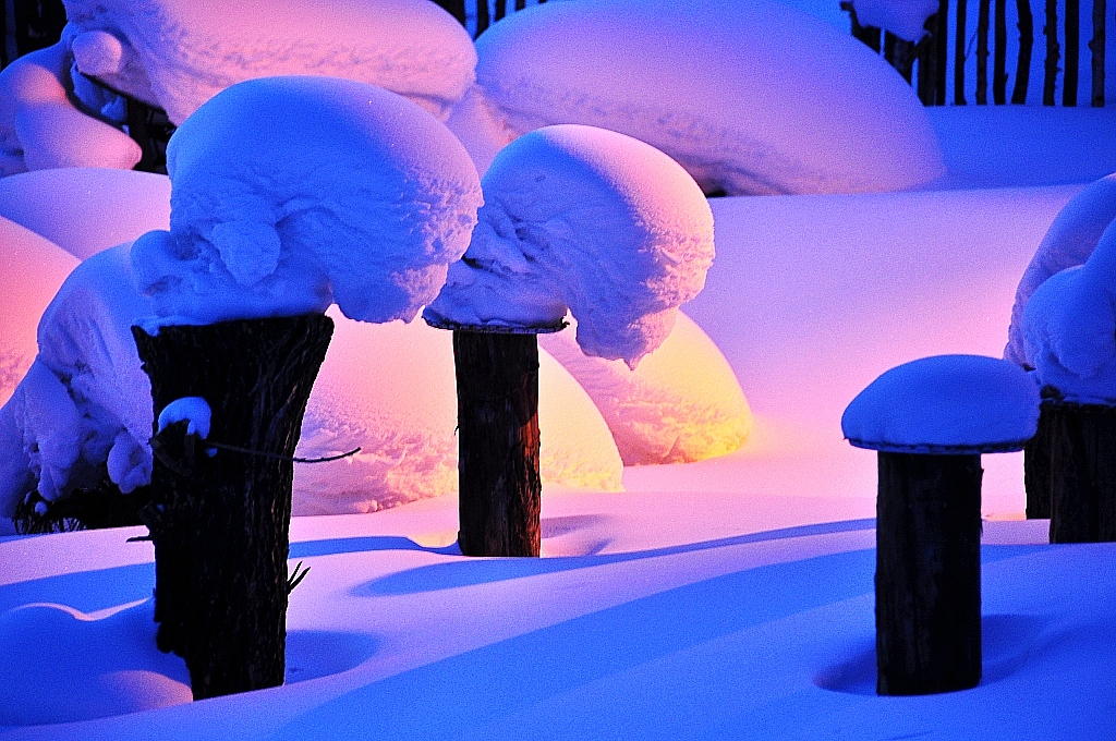 雪谷雪乡长白山魔界雾凇岛