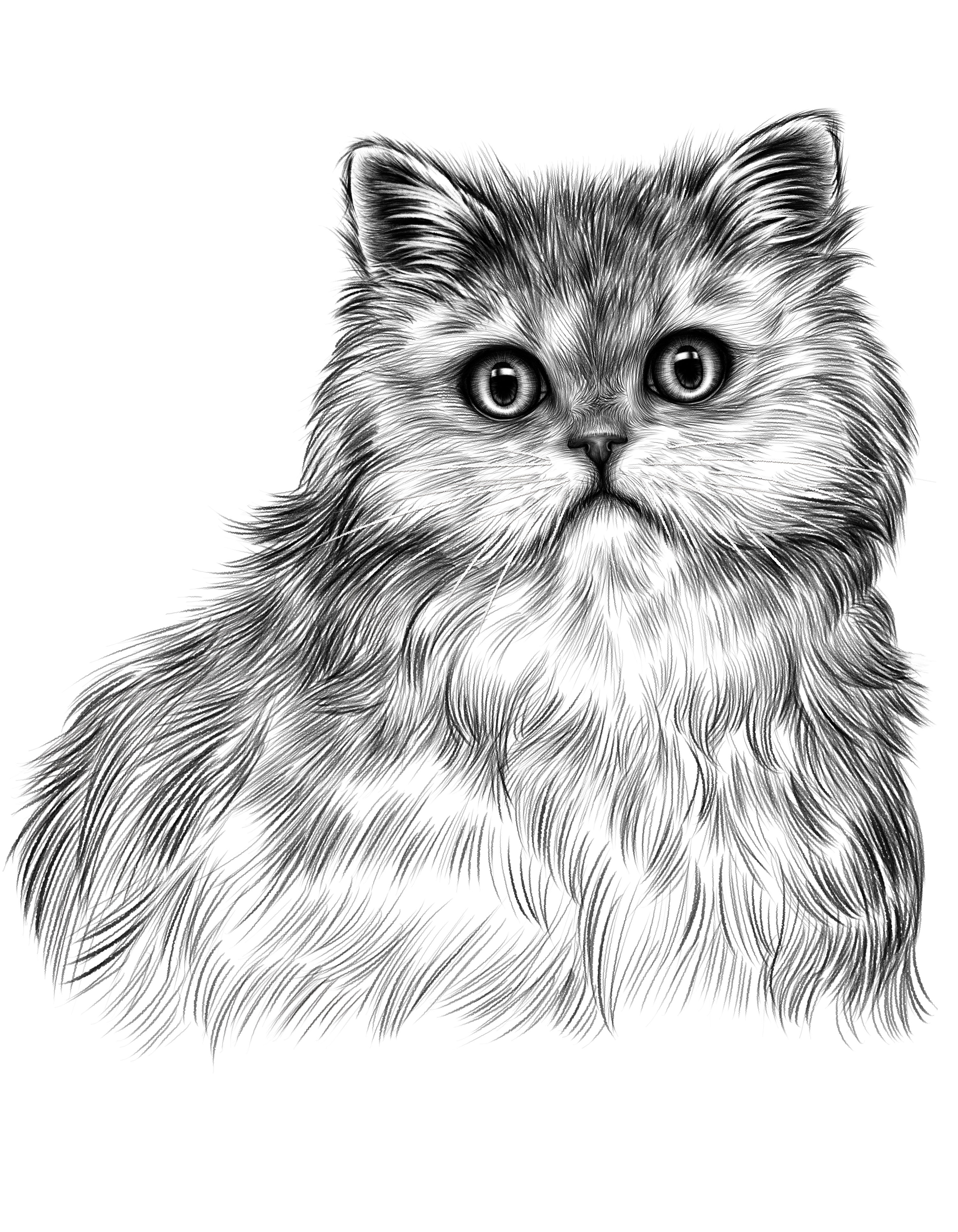 猫和狗的猫狗|插画|商业插画|小猫的可爱病_原创作品-站酷zcool