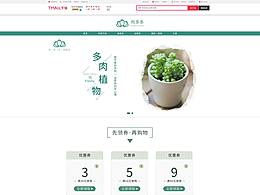 植物